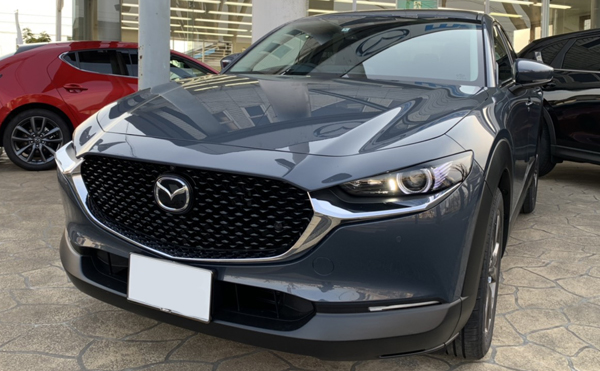 CX-30